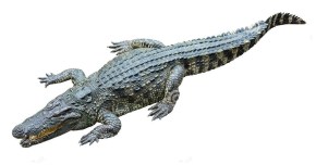 ??????????????????????????????????????????????????????????????????????