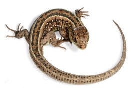 ??????????????????????????????????????????????????????????????????????????????